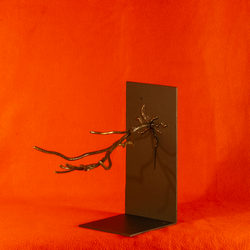 La main généreuse de l'arbre